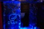 Dlux party-28