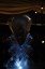 Dlux party-11