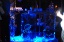 Dlux party-31