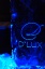 Dlux party-29