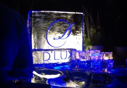 ledyanie-skulpturi-na-dlux-party