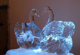 lebedi-iz-lda