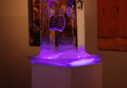 led-i-bokal-remimartin