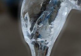 ledyanaya-figura-lebedi