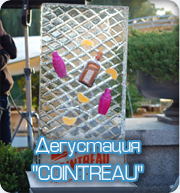 Ледяная фигура-Дегустация Cointrebau
